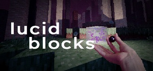 Lucid Blocks cover