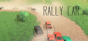 Rally car cover
